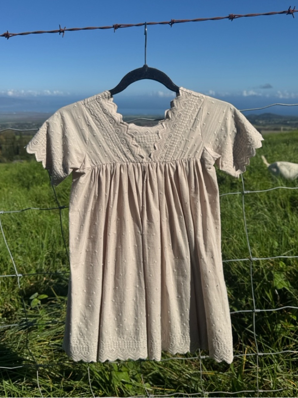 Noralee Eleanor Dress Cream Girls Swiss Dot Dress size 6